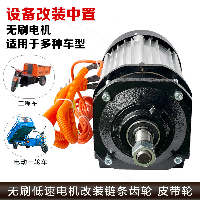 3000-W-Kit mit bürstenlosem Mi – High Torque Brushless Mid Motor Kit Bewertung und Preis